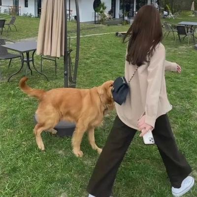 三次元女友第一季